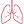 Respiratory System